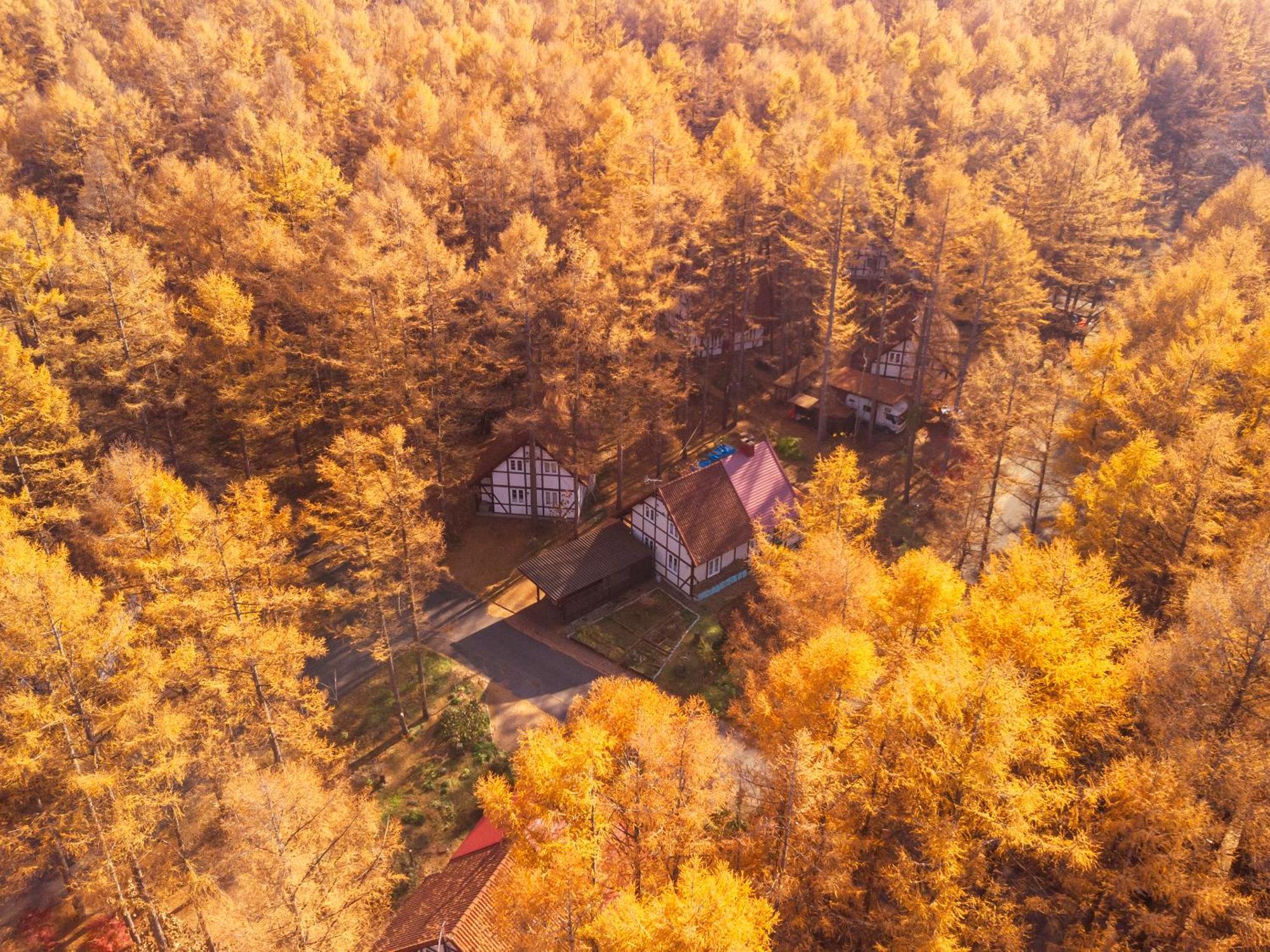 Tokachi Nakasatsunai Glamping Resort Feriendorf Luaran gambar